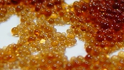 Ion_exchange_resin_beads